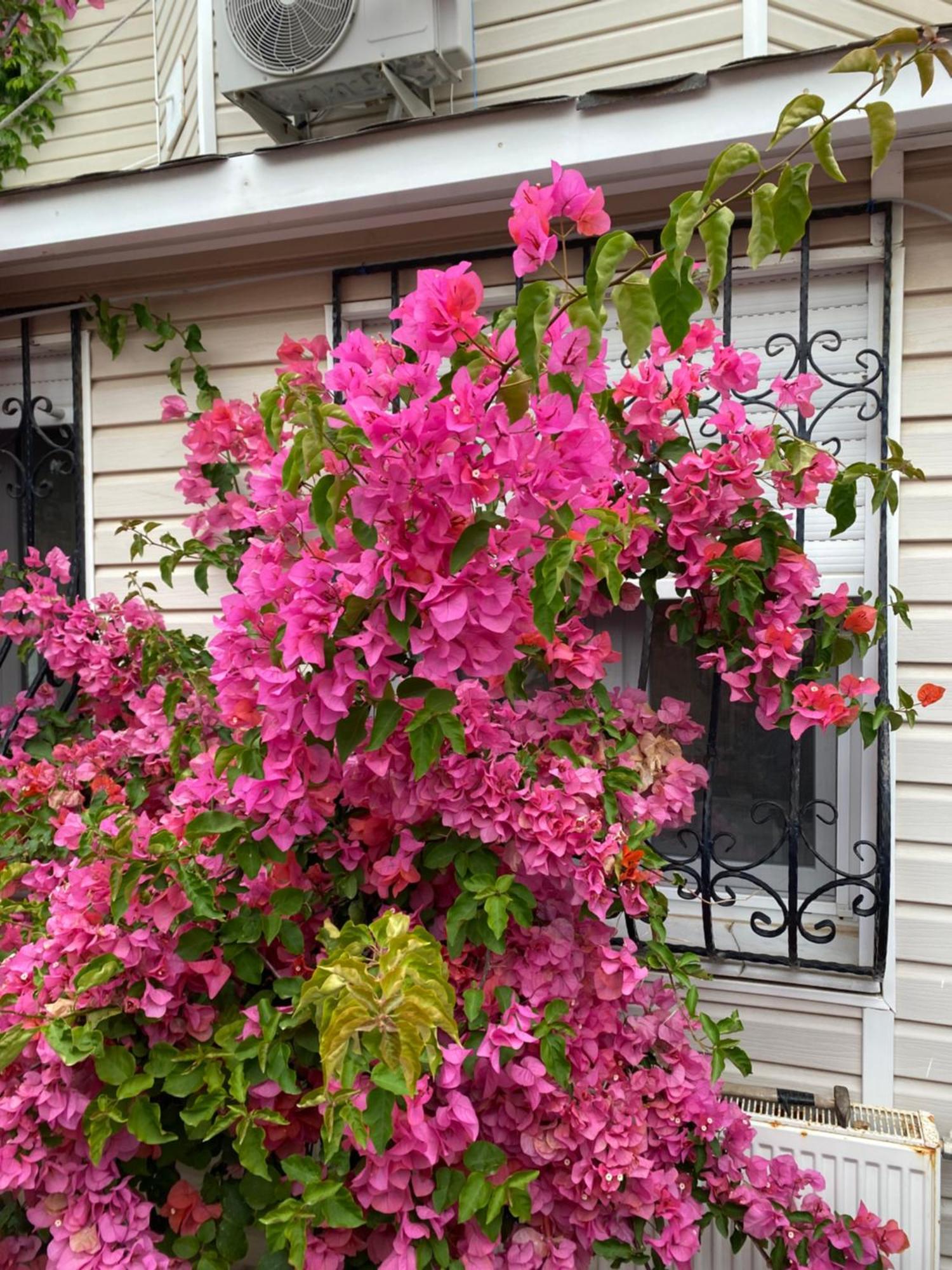 Villa Inci Çeşme Buitenkant foto